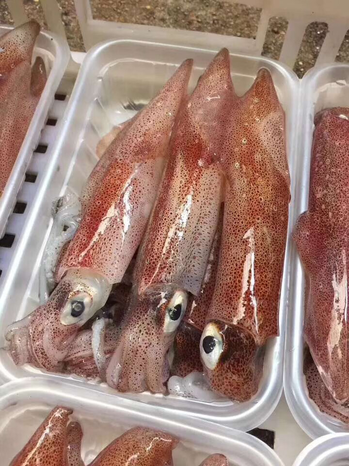 鱿鱼怎么炒好吃又嫩？这3种做法脆嫩爽口，鲜香不腥