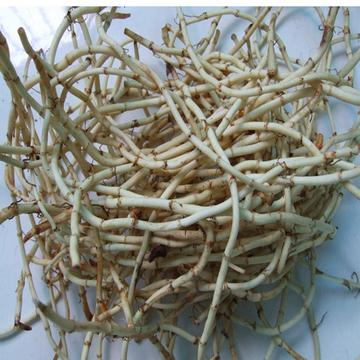 鱼腥草怎么做好吃 鱼腥草好吃的做法