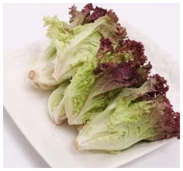 生菜怎么做最好吃：两种生菜美味做法
