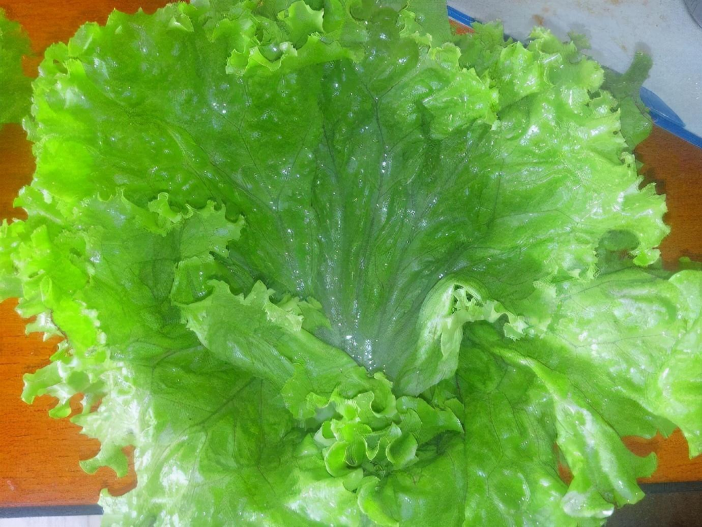 好吃易做懒人菜200例 精选实用家常菜大全