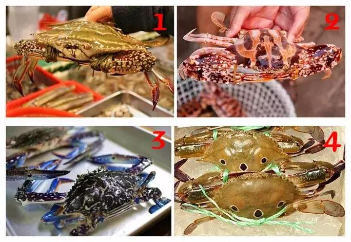 青蟹怎么做好吃又简单？3种做法鲜甜不腥，保留原汁原味